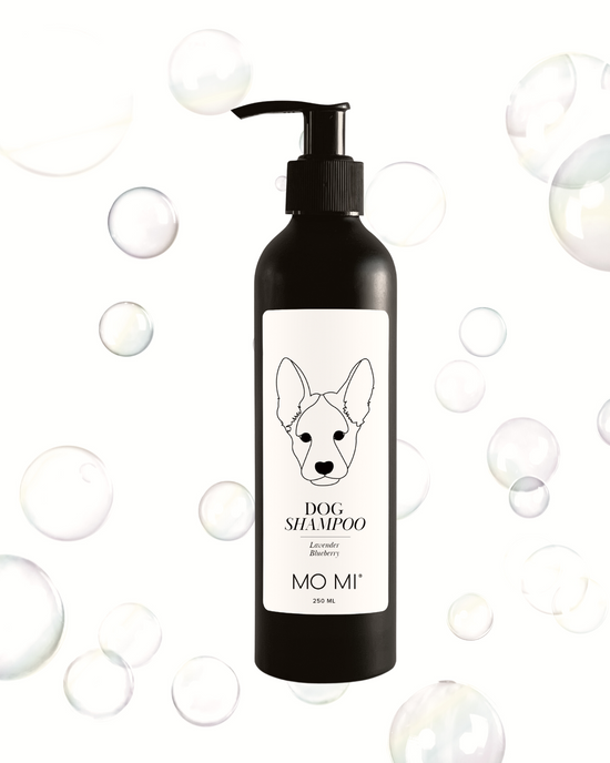 Dog Shampoo • Lavender